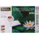 Oreiller BIOTEX Mémolouna en mousse à mémoire de forme 60x40cm