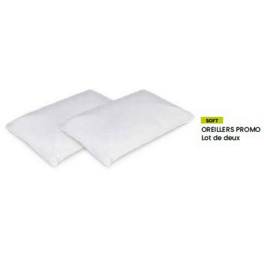 Lot de 2 oreillers BIOTEX Promo à mémoire de forme - 2 tailles
