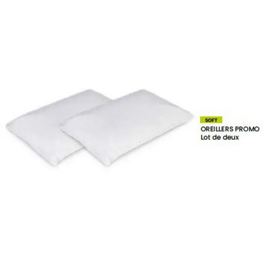 Lot de 2 oreillers BIOTEX Promo à mémoire de forme - 2 tailles