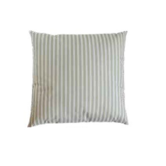 Oreiller BIOTEX Plume en plumes pures 60x40cm