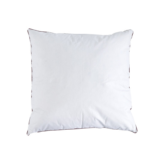 Oreiller BIOTEX Dalvik 10% duvet oie et canard 90% plumettes - 2 tailles
