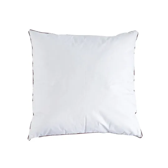 Oreiller BIOTEX Dalvik 10% duvet oie et canard 90% plumettes - 2 tailles