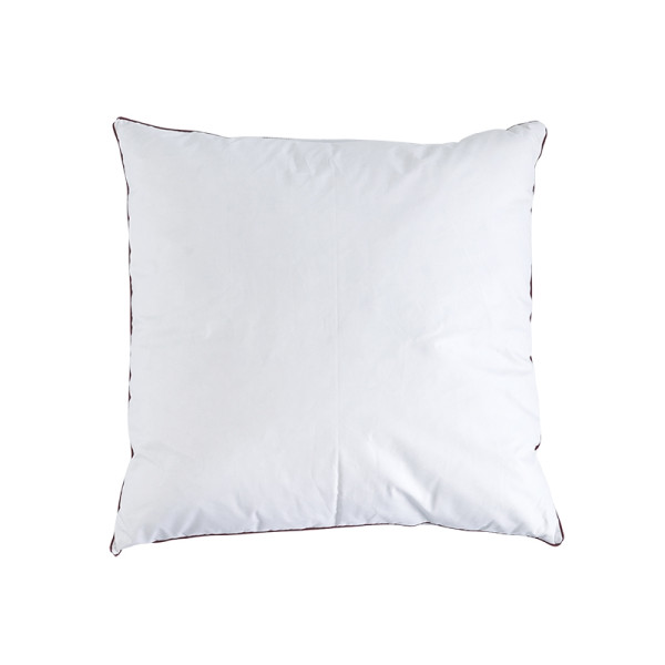 Oreiller BIOTEX Dalvik 10% duvet oie et canard 90% plumettes - 2 tailles