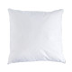 Oreiller anti-acariens BIOTEX Groenland 50% duvet de canard 50% plumettes - 2 tailles