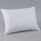 Oreiller PYRENEX Laruns 3 chambres ferme classique duvet et plumettes canard - 5 tailles