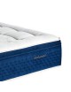 Matelas EPEDA Dédicace Perséides 33cm accueil moelleux soutien ferme - 19 tailles 6 coloris