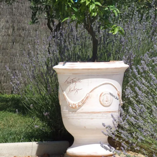 Terre Figuière Vase Cerusé naturel - 4 tailles