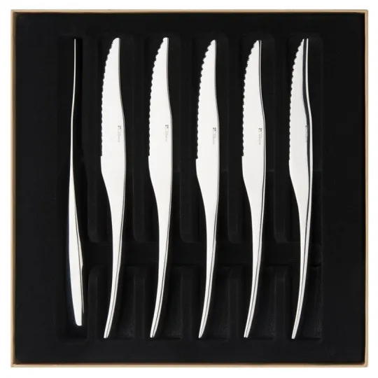Coffret 6 couteaux Gourmet miroir GUY DEGRENNE