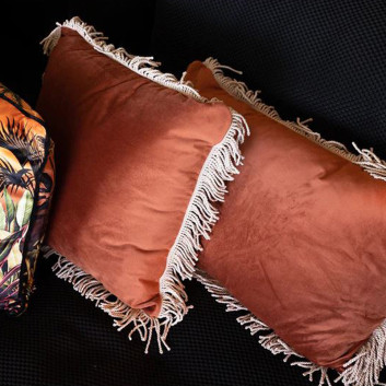 Coussin velours Lemo carré 45x45cm Podevache