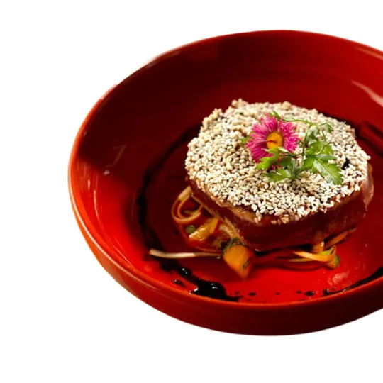 2 écuelles saladiers en terre Terafeu - 9 coloris 2 tailles