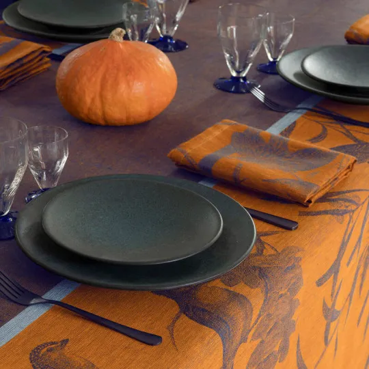 4 serviettes de table LE JACQUARD FRANCAIS Volière 100% lin 58x58cm - 3 coloris