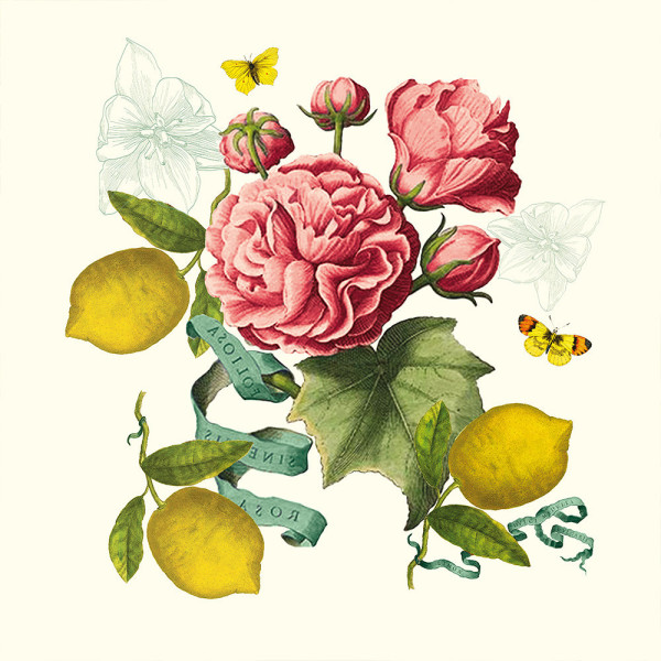 4 serviettes de table Citrons de Menton Garnier Thiebaut