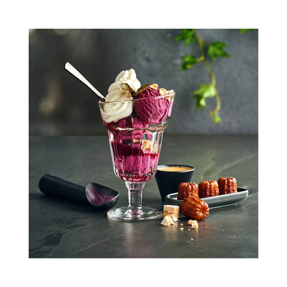 COUPE A GLACE FIDJI 20CL LA ROCHERE