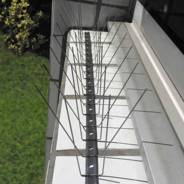 Pics anti volatiles Oisipic 150 - 5 mètres linéaires