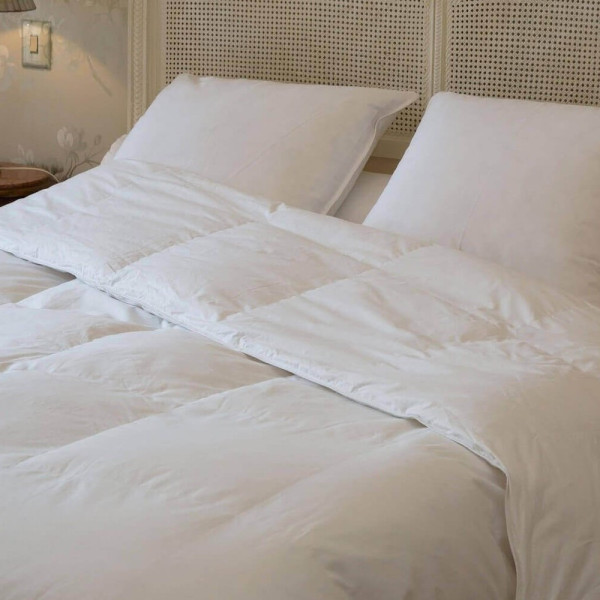 Couette été duvet oie 160g