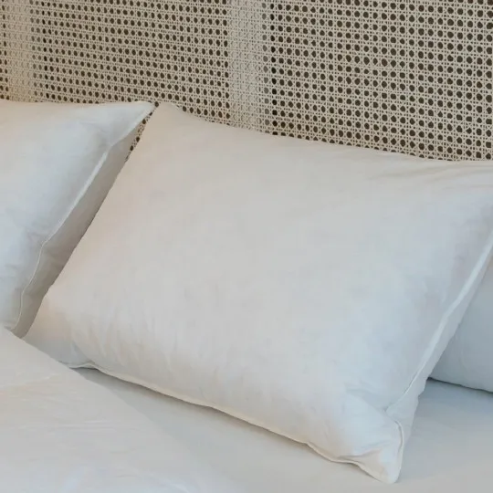 Oreiller en plumes avec 30% duvet de canard