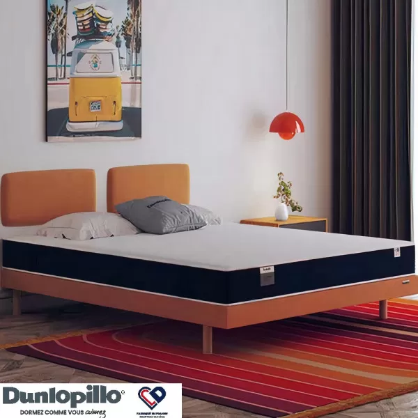 Matelas Dunlopillo Erakis mousse Aérial Ferme H20cm - 7 tailles