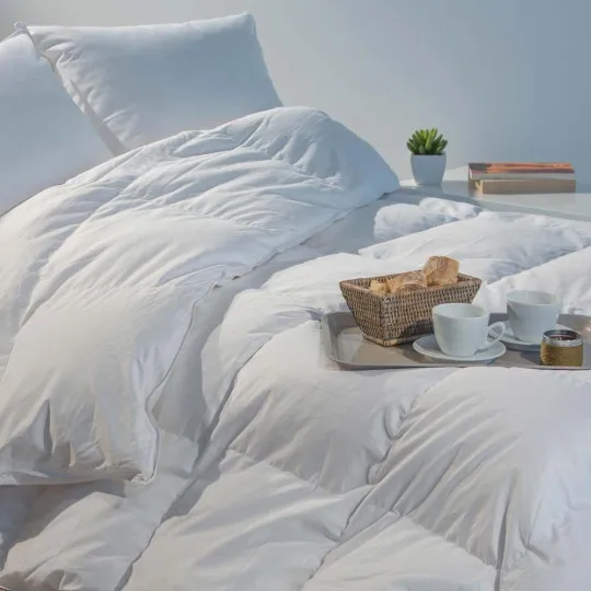 Couette été duvet oie 160g