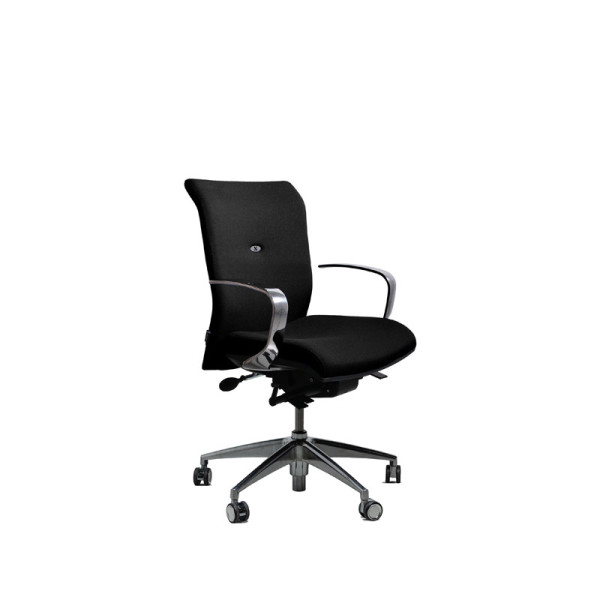 Fauteuil de bureau direction Navailles Strong Auguste + petit dossier - 15 finitions