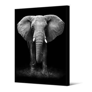 Toile encadrée Tomboa Eléphant PODEVACHE 65x92.5cm cadre noir