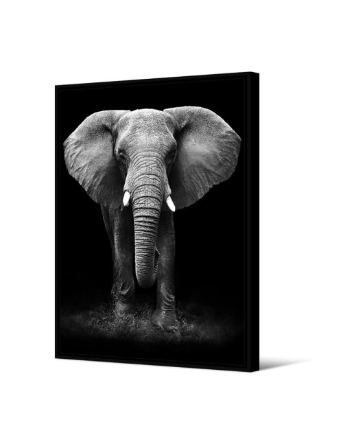 Toile encadrée Tomboa Eléphant PODEVACHE 65x92.5cm cadre noir