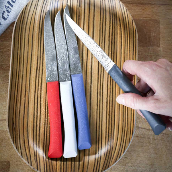 Coffret 4 couteaux OPINEL Bon appétit + polymère - 5 coloris