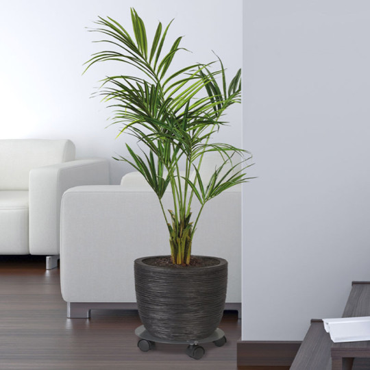Roule plante Louis Moulin rond en acier 40cm