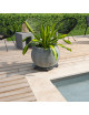 Roule plante Louis Moulin design anthracite rond en acier 50cm