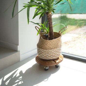 Roule plante rond en bois Louis Moulin 30 cm - 2 coloris
