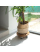 Roule plante rond en bois Louis Moulin 30 cm - 2 coloris