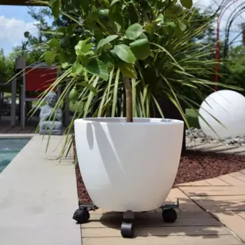 Roule plante Extensible Louis Moulin à 4 roulettes - 3 coloris