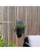 Applique végétale Louis Moulin décoration support plantes - 3 modèles