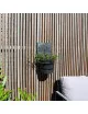 Applique végétale Louis Moulin décoration support plantes - 3 modèles