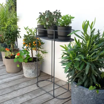 Support Louis Moulin pour plantes et aromates sur pied anthracite