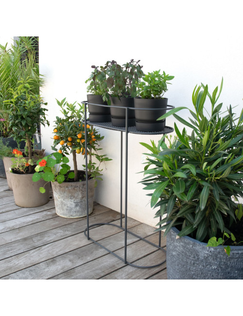 Support Louis Moulin pour plantes et aromates sur pied anthracite