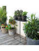 Support Louis Moulin pour plantes et aromates sur pied anthracite
