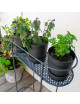 Support Louis Moulin pour plantes et aromates sur pied anthracite