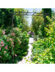 Pergola Louis Moulin Arche en acier noir charbon