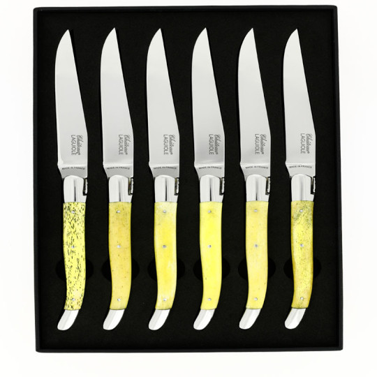 Coffret de 6 couteaux de table CHATEAU LAGUIOLE Collection Héritage Os teinté jaune