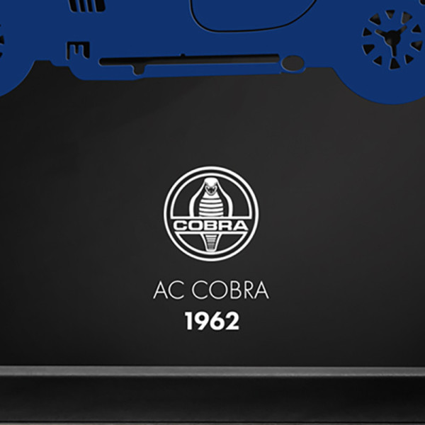 Cadre mural ERIC HARDY 50x50cm AC COBRA acier et bois