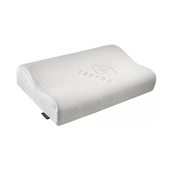 Oreiller LESTRA Fjord mémoire de forme Ergonomique 40x60cm