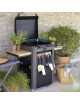 Combo plancha gaz chariot ENO Fusion 60cm 2 brûleurs - 2 coloris