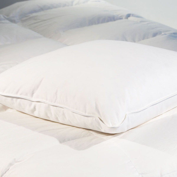 Oreiller en plumes avec 30% duvet de canard