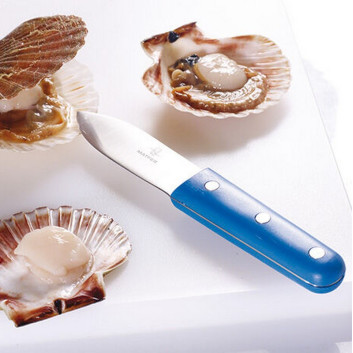 Couteau à coquille Saint-Jacques MATFER bleu