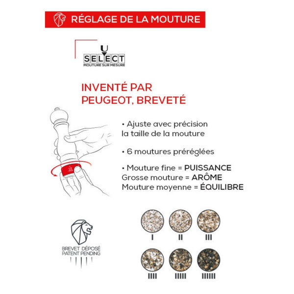 Moulin PEUGEOT SAVEURS Paris Select Naturel sel sec 12cm