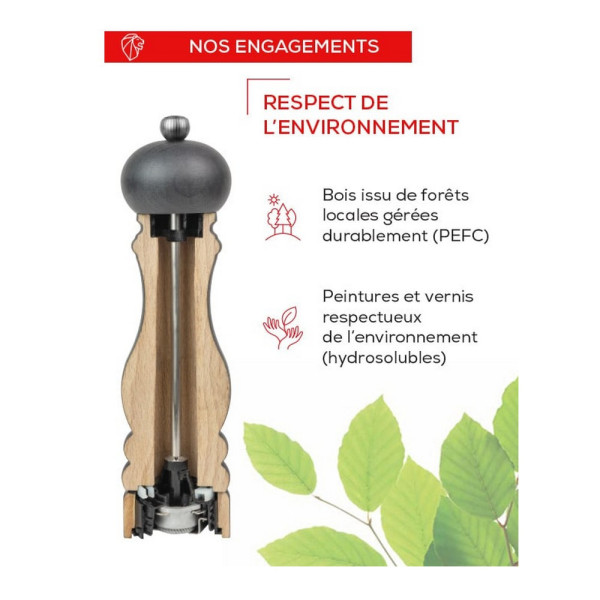 Moulin PEUGEOT SAVEURS Paris Select Naturel sel sec 12cm