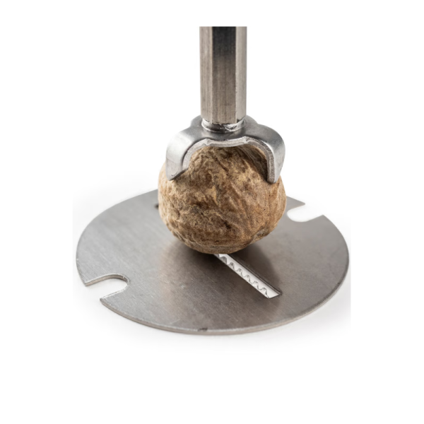 Moulin à muscade PEUGEOT SAVEURS Madras chocolat 15cm
