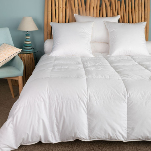Couette MANUFACTURE CASTEX King Size été canard légère 160g/m² - 2 tailles