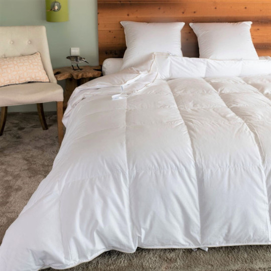 Couette MANUFACTURE CASTEX King Size 4 saisons canard modulable 200 + 130g/m² - 2 tailles