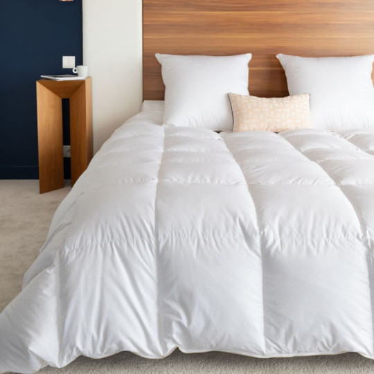 Couette MANUFACTURE CASTEX King Size Hiver canard Chaude 330g/m² - 2 tailles